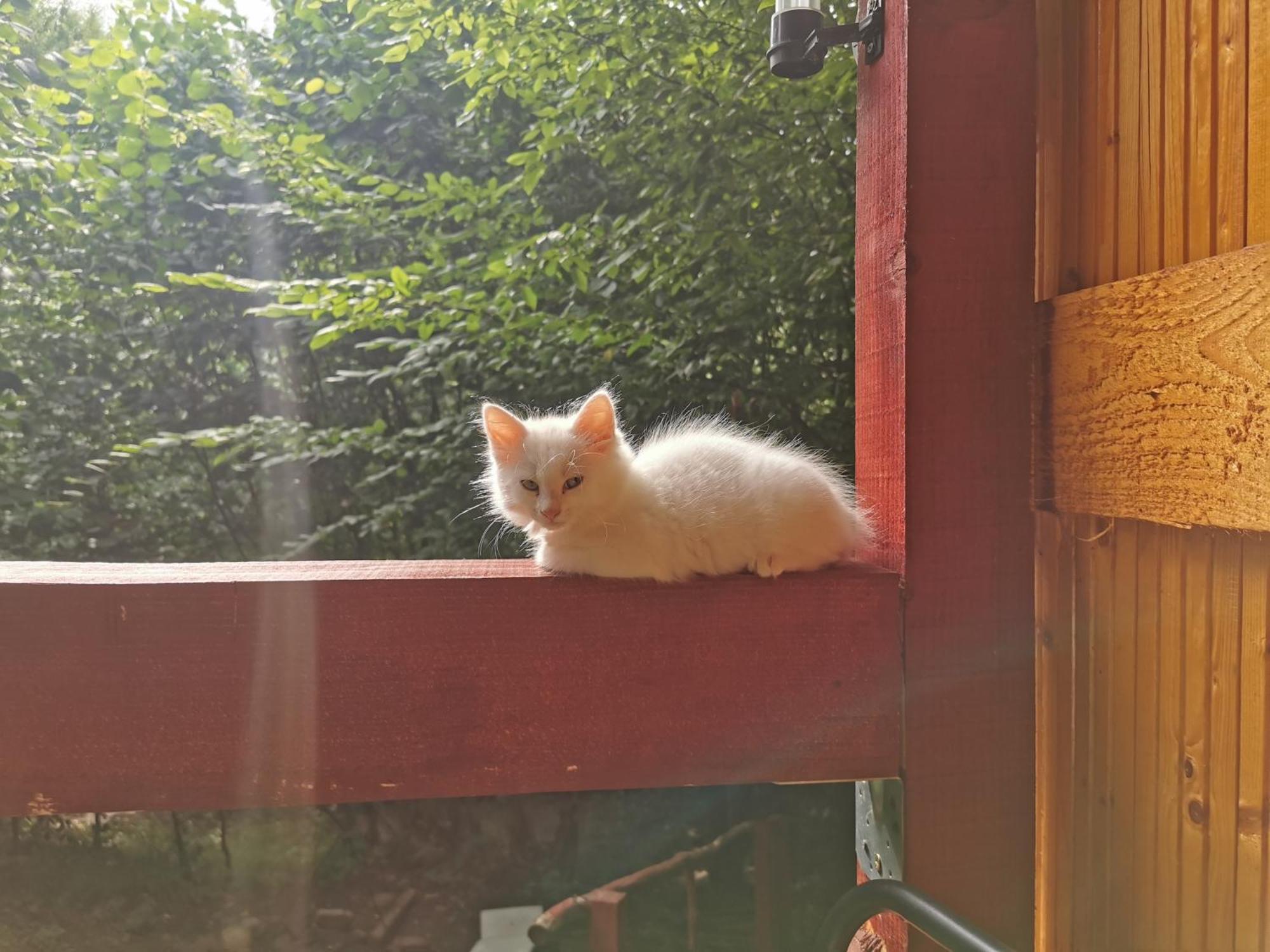 Cabana Lucia Tarcău-Gheuca Zewnętrze zdjęcie